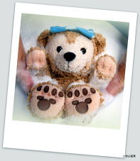 ぬいぐるみクリーニング